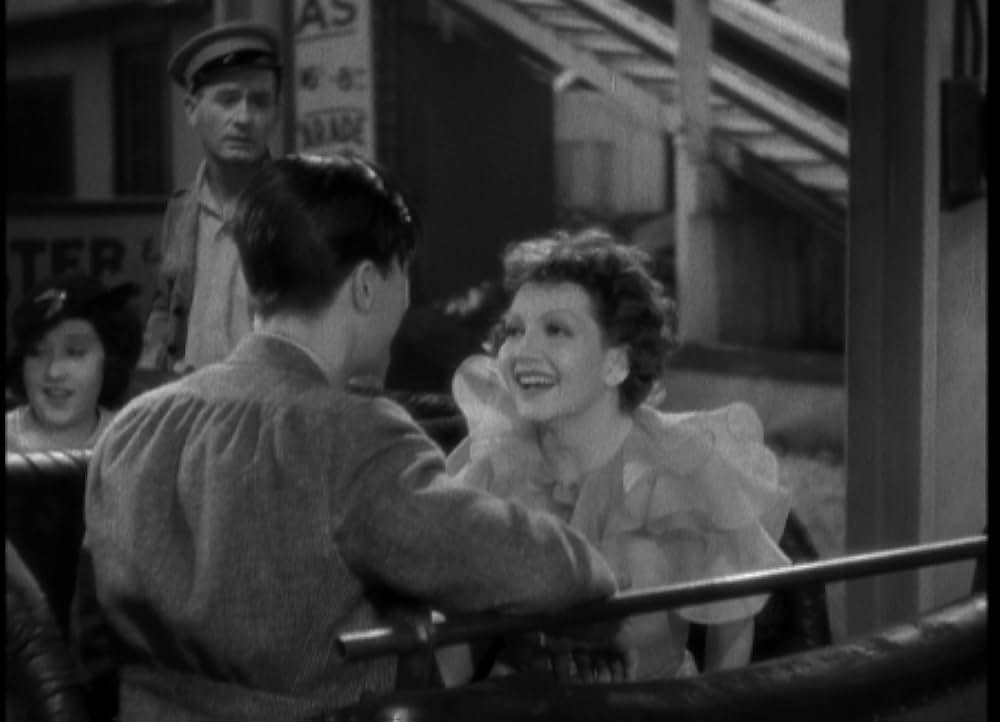 輝ける百合の画像