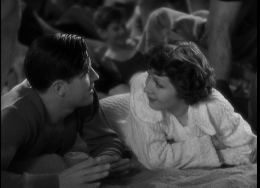 輝ける百合の画像