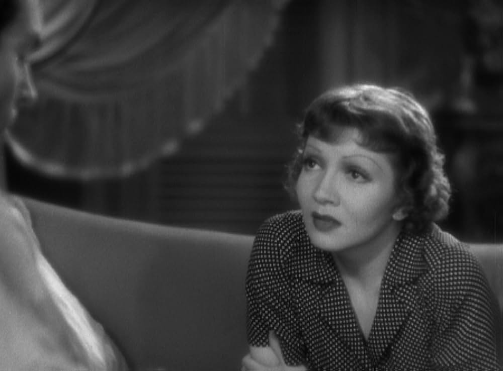 輝ける百合の画像