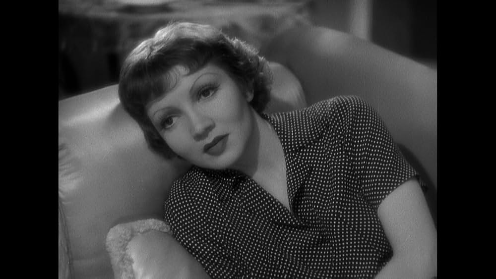 輝ける百合の画像