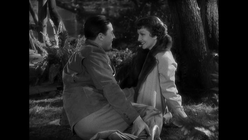 輝ける百合の画像