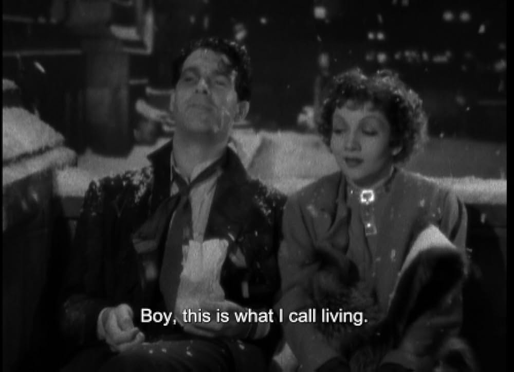 輝ける百合の画像