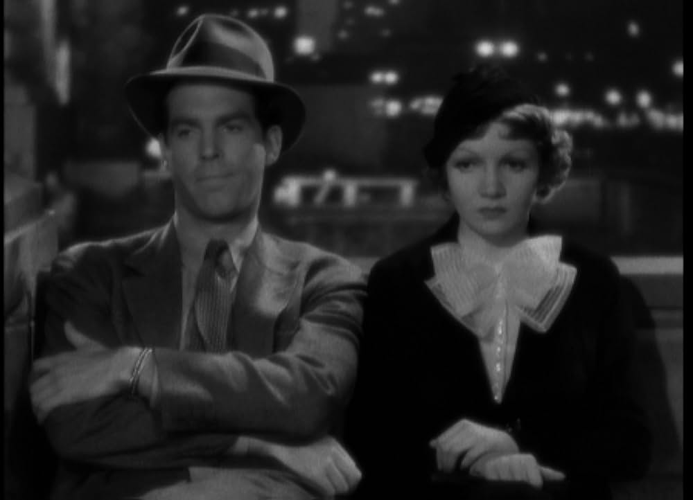 輝ける百合の画像