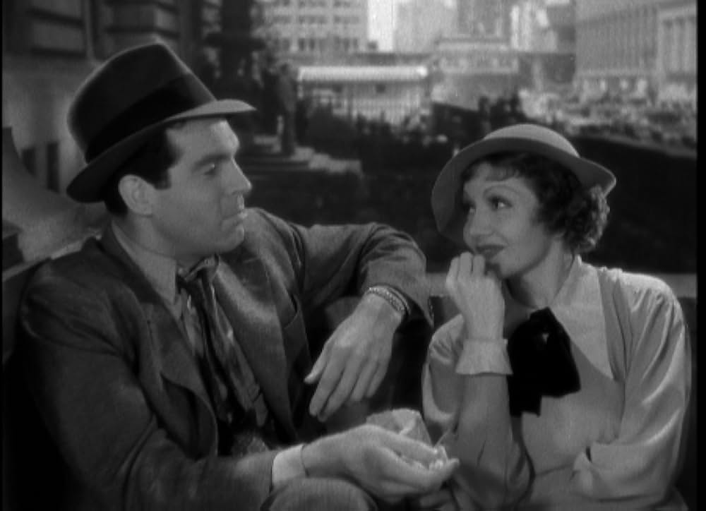 輝ける百合の画像