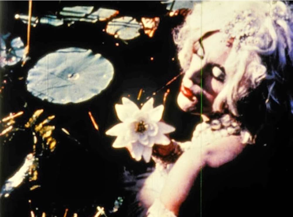 ノーマル・ラブの写真