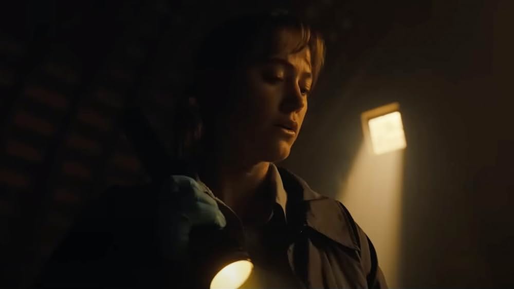 ロングレッグスの画像