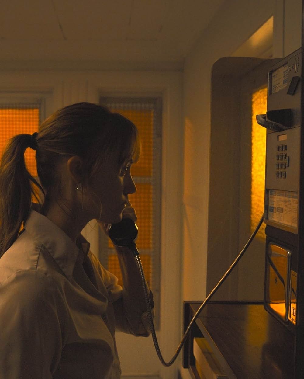 ロングレッグスの画像