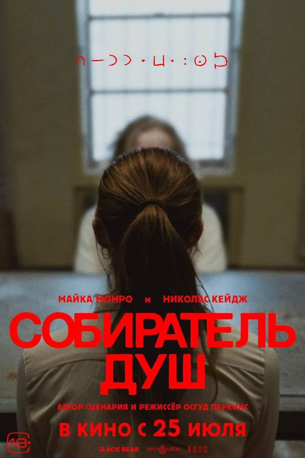 ロングレッグスの画像