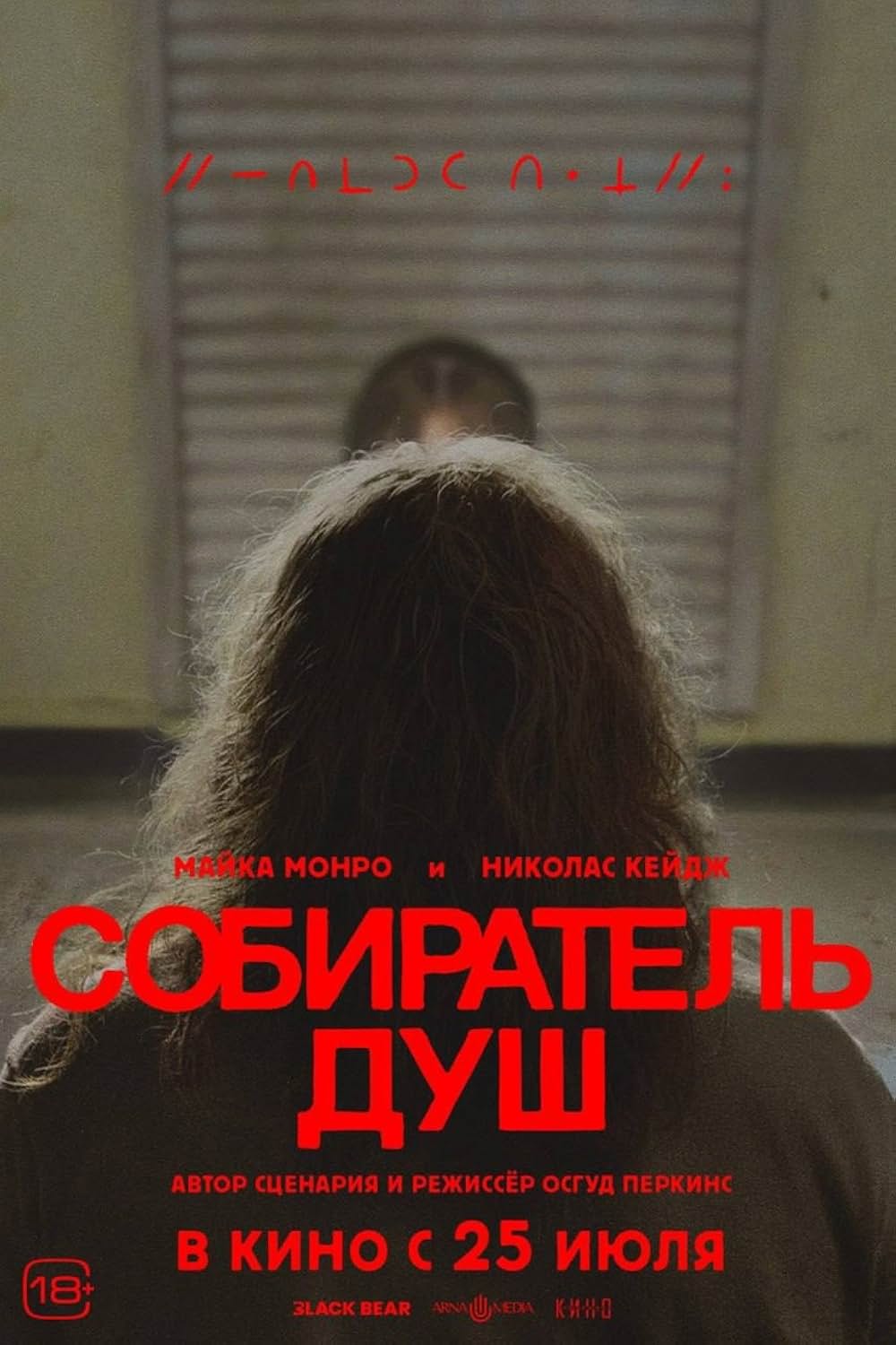 ロングレッグスの画像