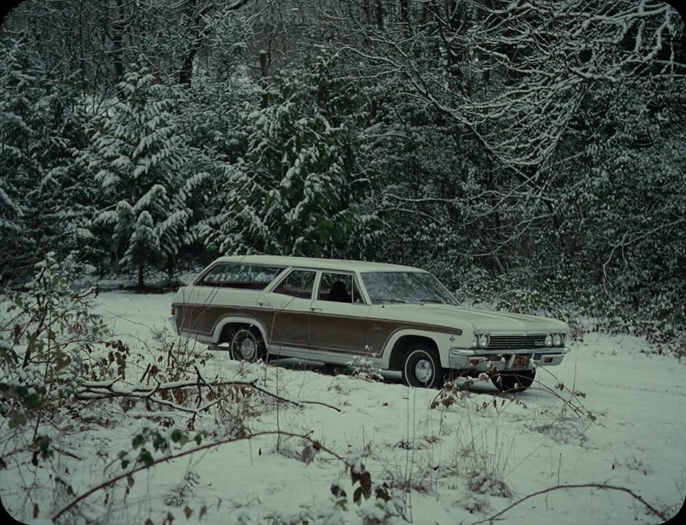 ロングレッグスの画像