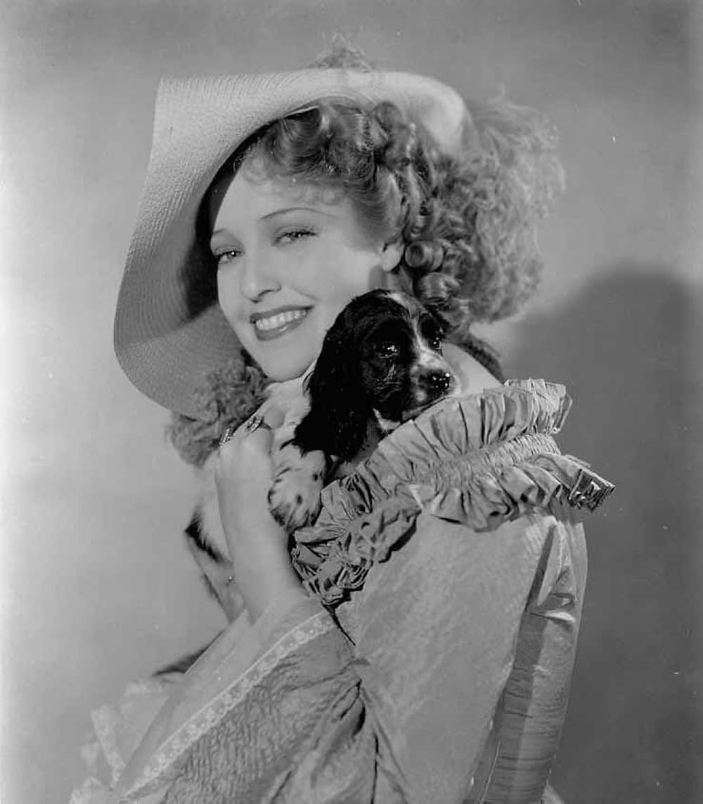 浮かれ姫君の画像