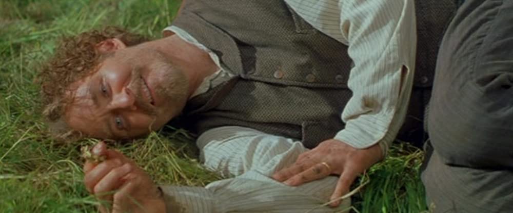 真夏の夜の夢の画像