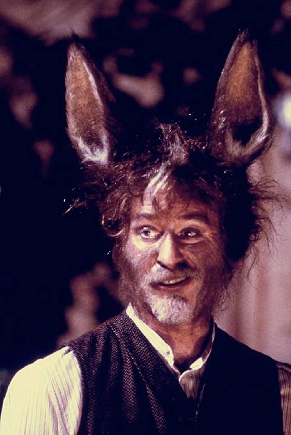 真夏の夜の夢の画像