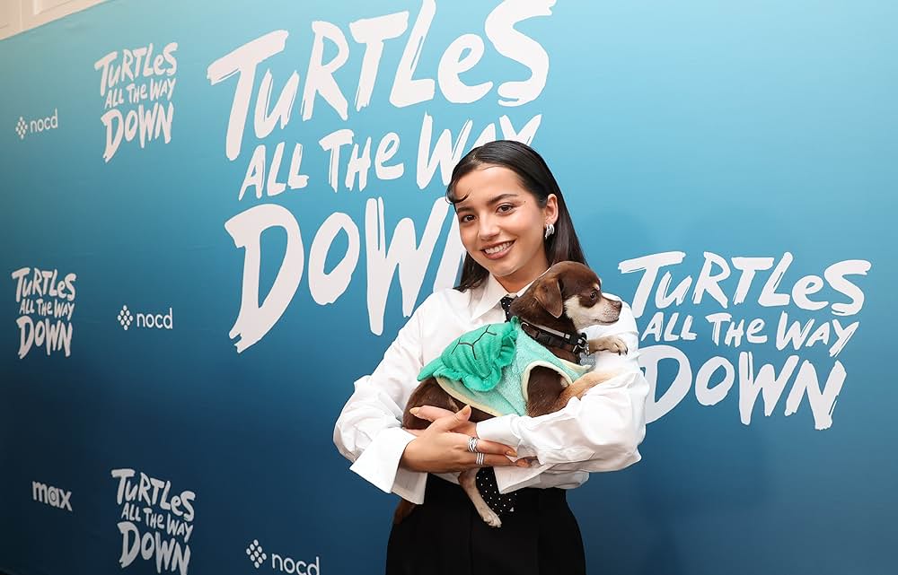 Turtles All the Way Down（原題）の画像