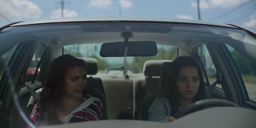 Turtles All the Way Down（原題）の画像