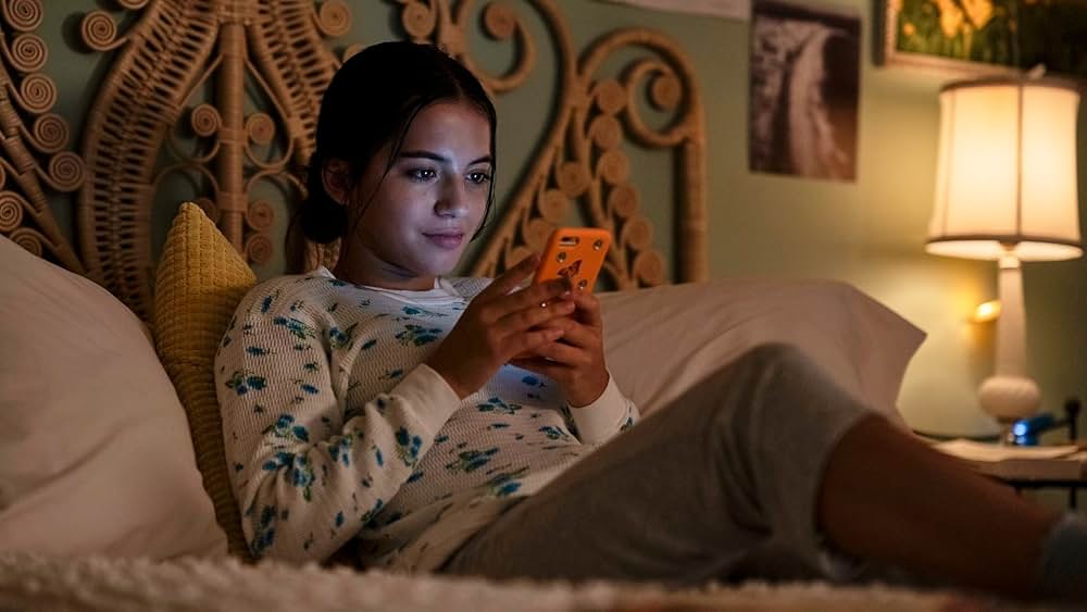 Turtles All the Way Down（原題）の画像