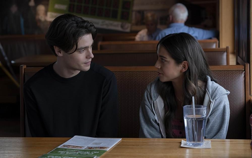 Turtles All the Way Down（原題）の画像