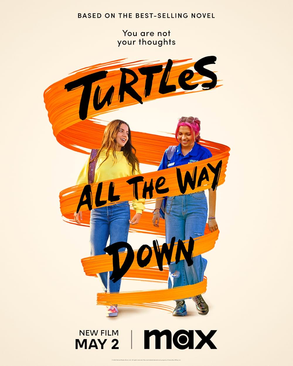 Turtles All the Way Down（原題）の画像
