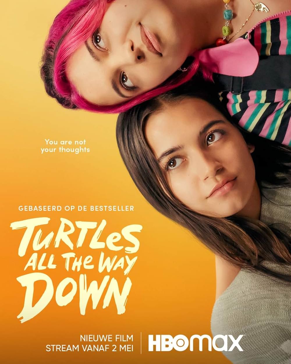 Turtles All the Way Down（原題）の画像