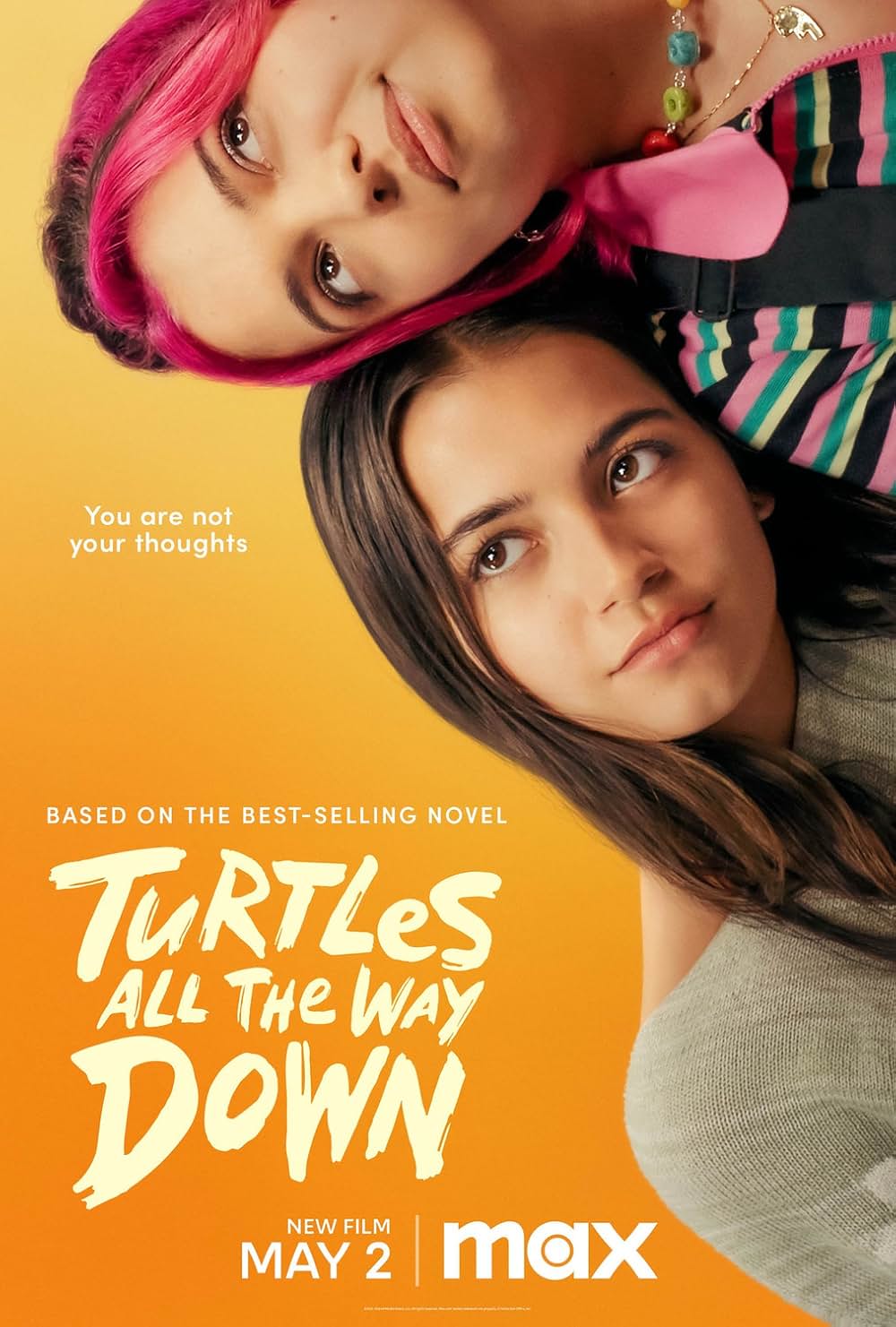 Turtles All the Way Down（原題）の画像