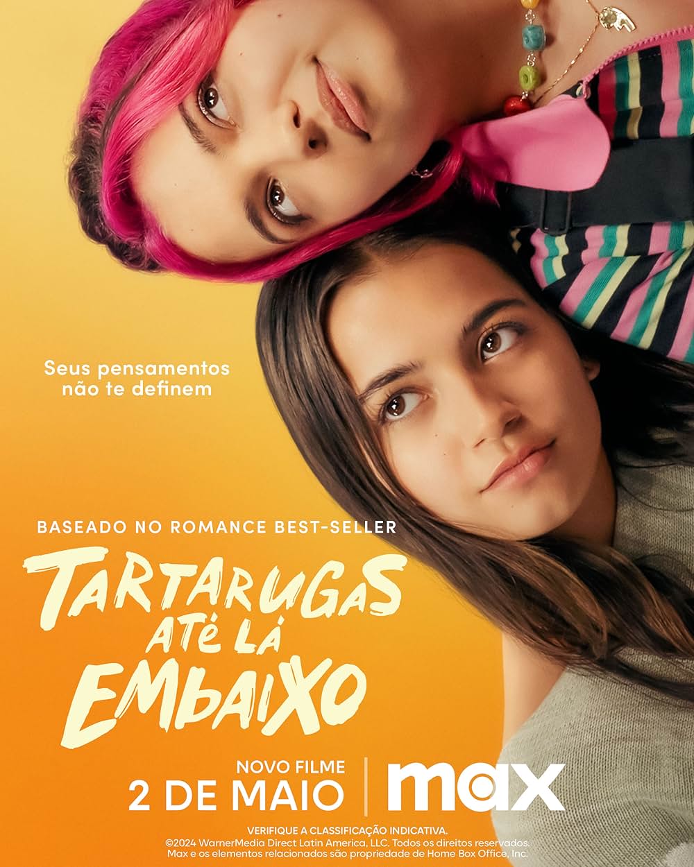 Turtles All the Way Down（原題）の画像