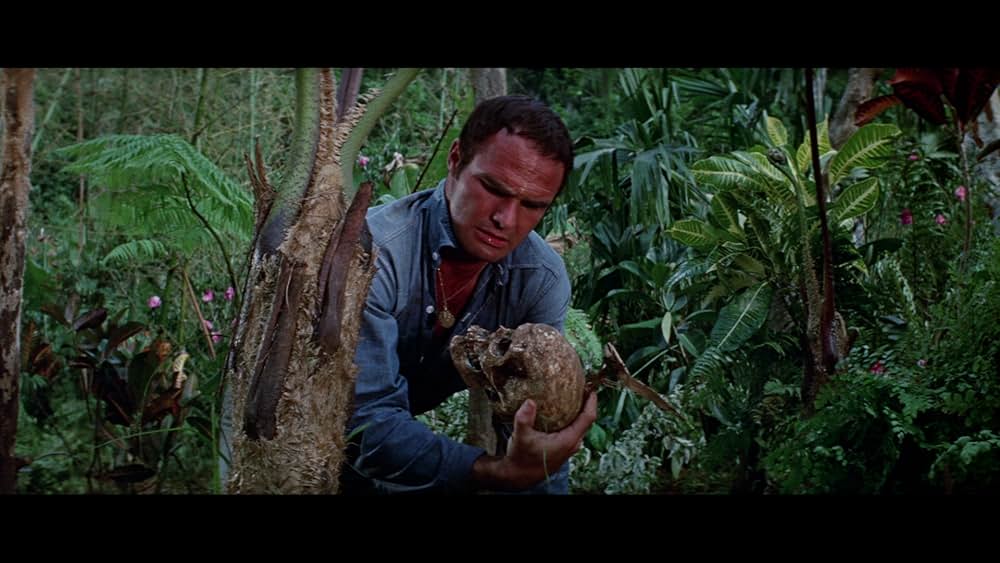 類人猿捜索隊の画像