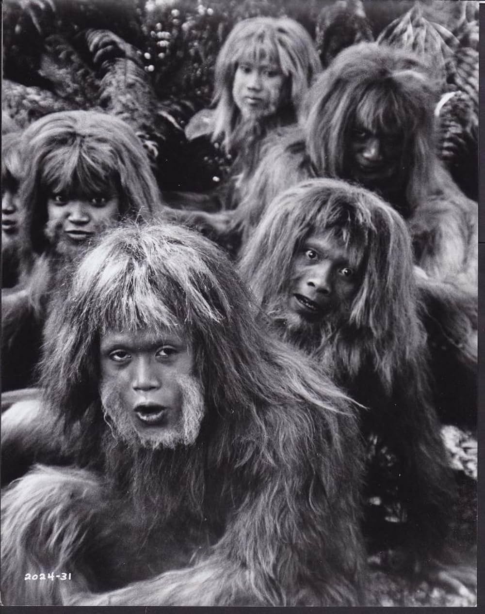 類人猿捜索隊の画像