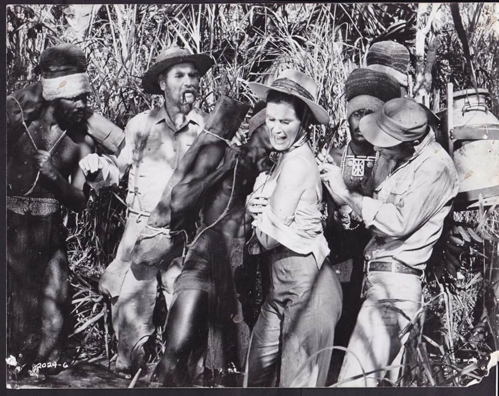 類人猿捜索隊の画像