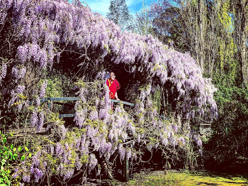 ストレスから幸福への画像