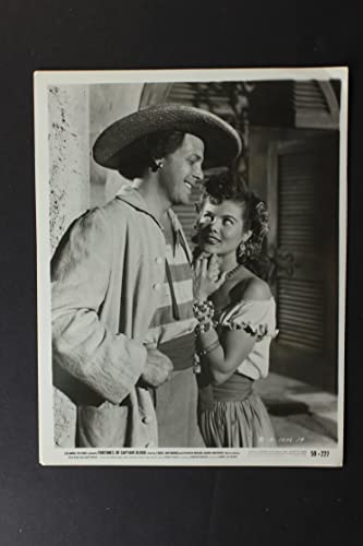 海賊ブラッドの逆襲の画像