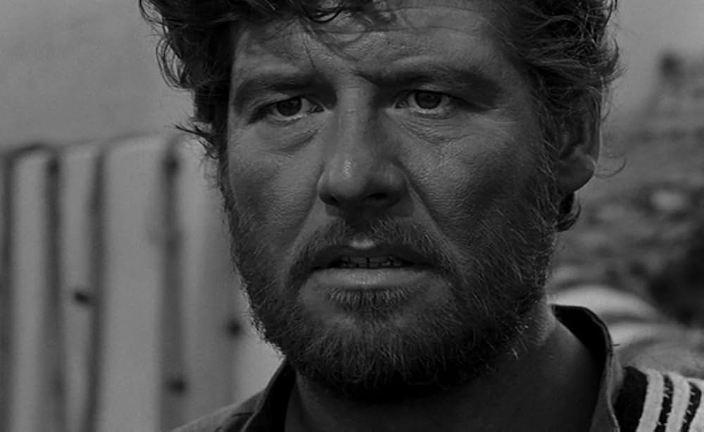 汚れなき旅情の画像