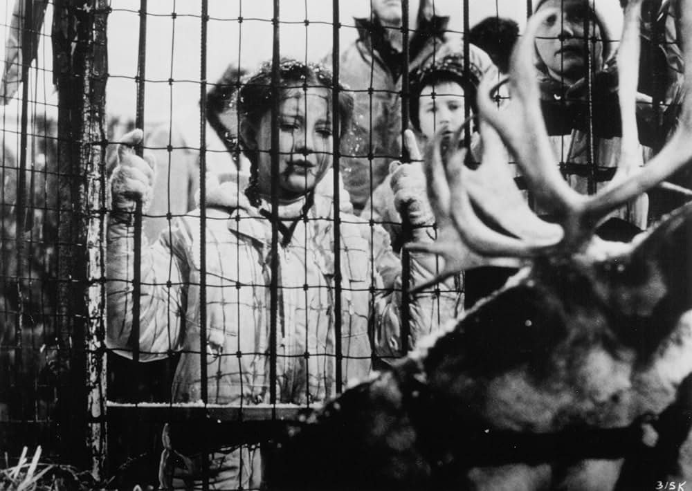 プランサーの画像