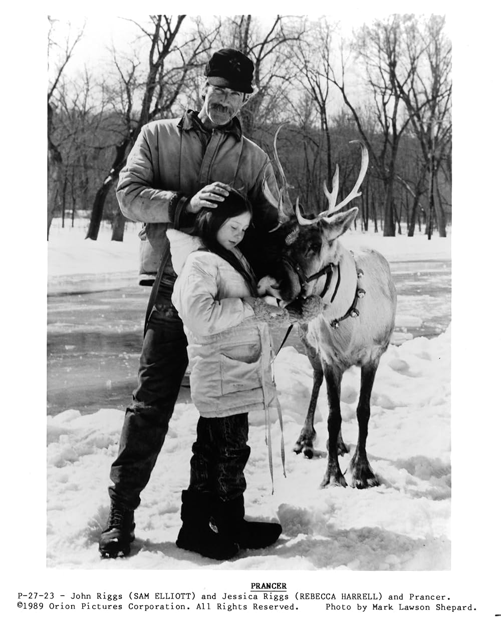 プランサーの画像