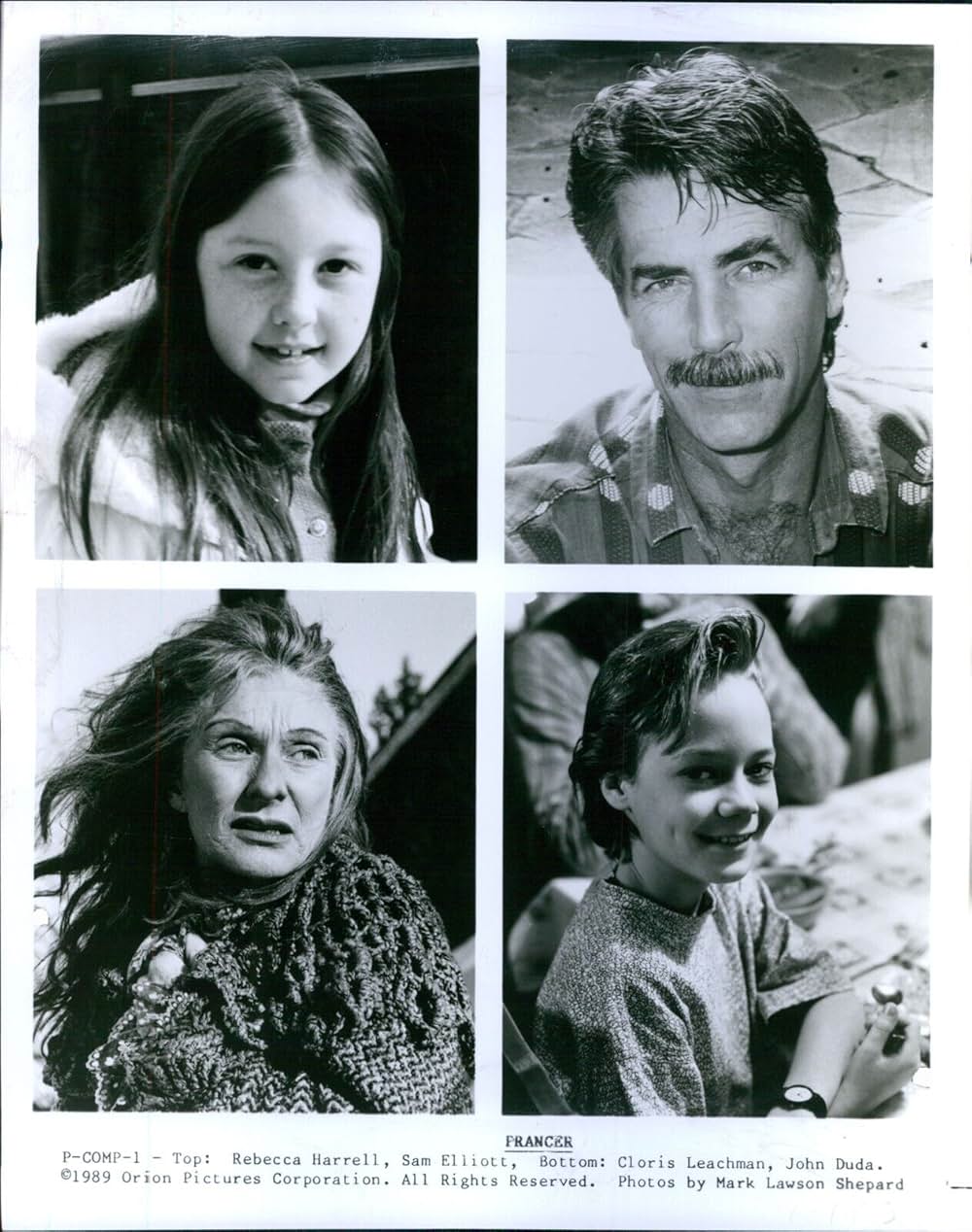 プランサーの画像