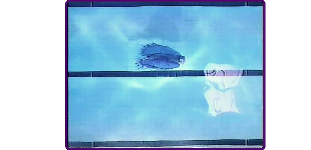 スターゲイト／ミレニアムの画像