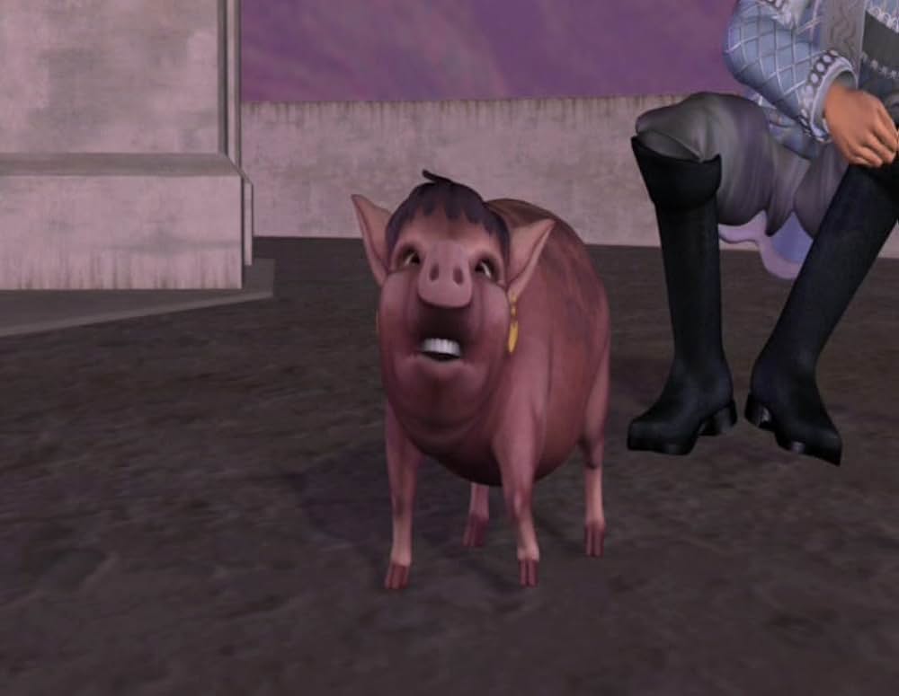 バービーの白鳥の湖の画像