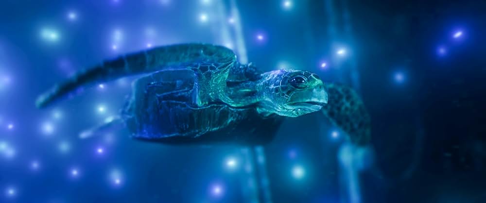 深海の光の画像