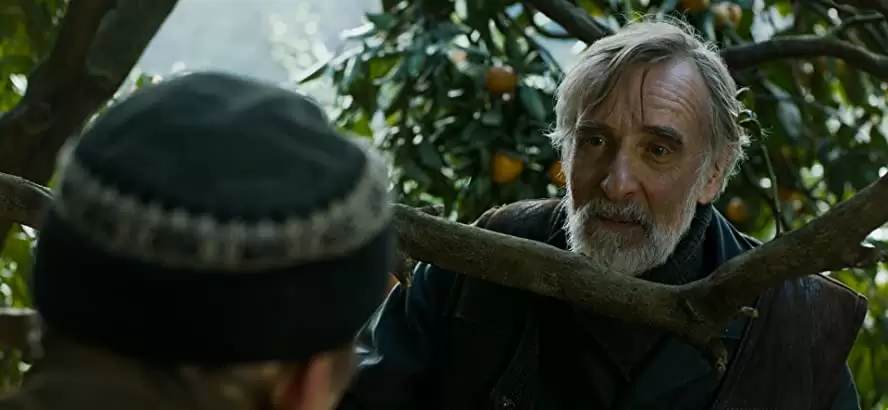 みかんの丘の画像