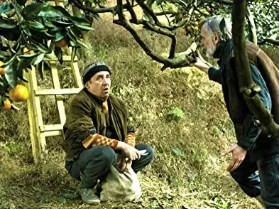 みかんの丘の画像