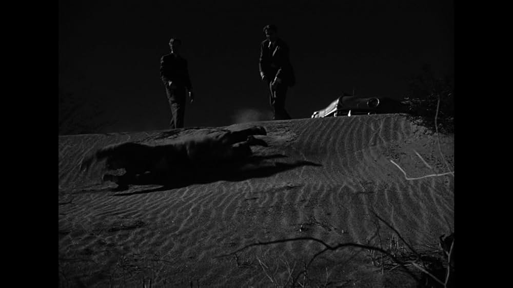 悪党は泣かないの画像