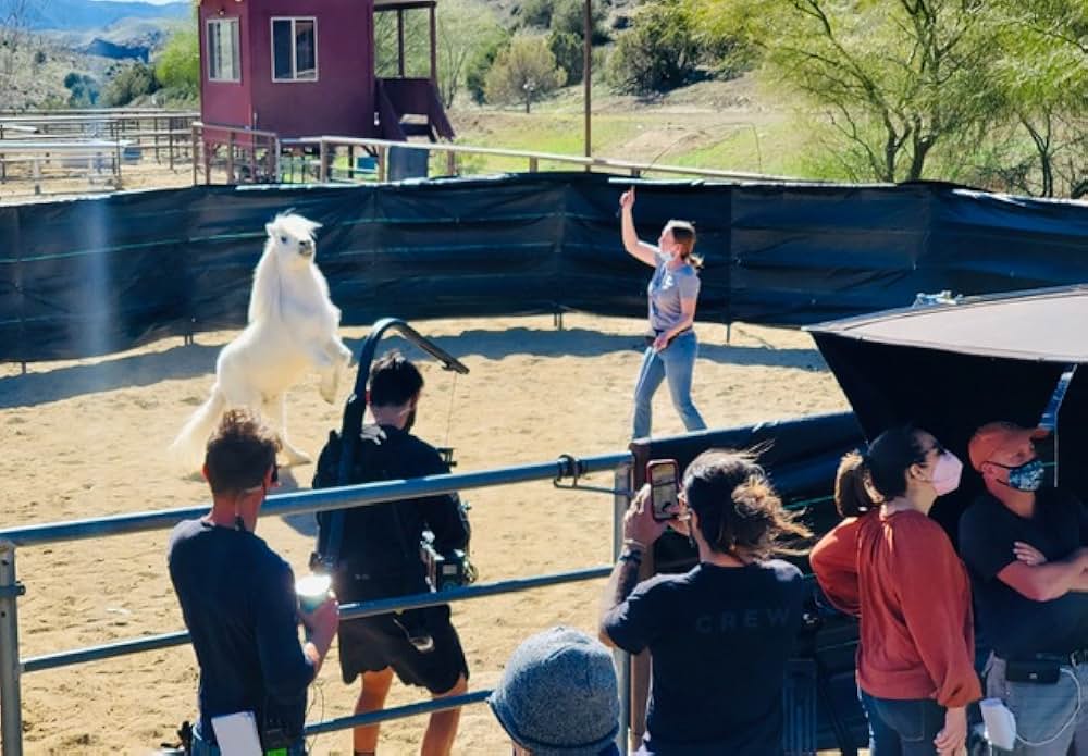 The Legend of Catclaws Mountain（原題）の画像