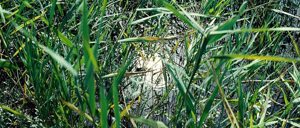 アウトサイド・サタンの画像