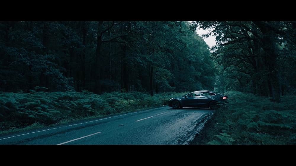 スピーク・ノー・イーブル 異常な家族の画像