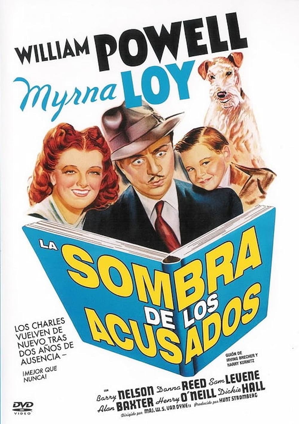 影なき男の影の画像