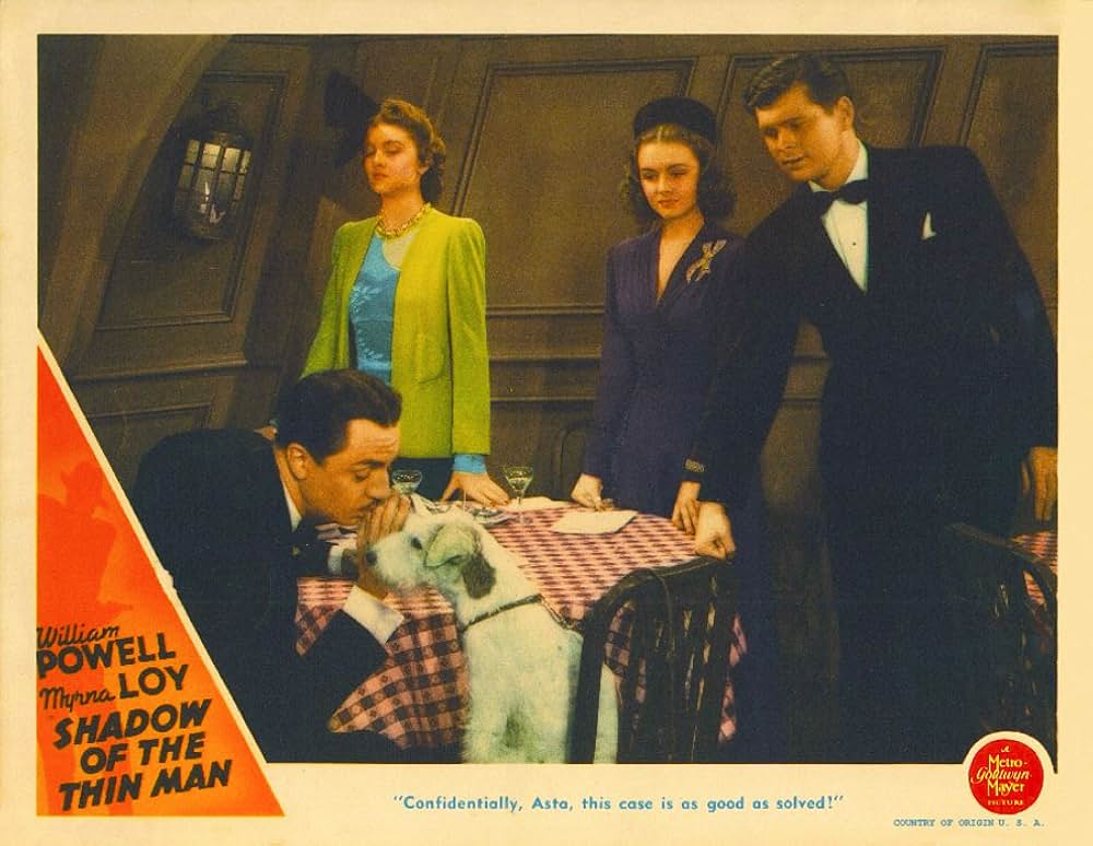 影なき男の影の画像