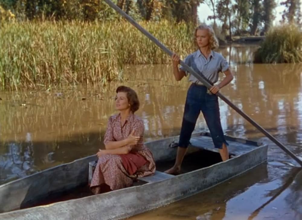 路上のライオンの画像