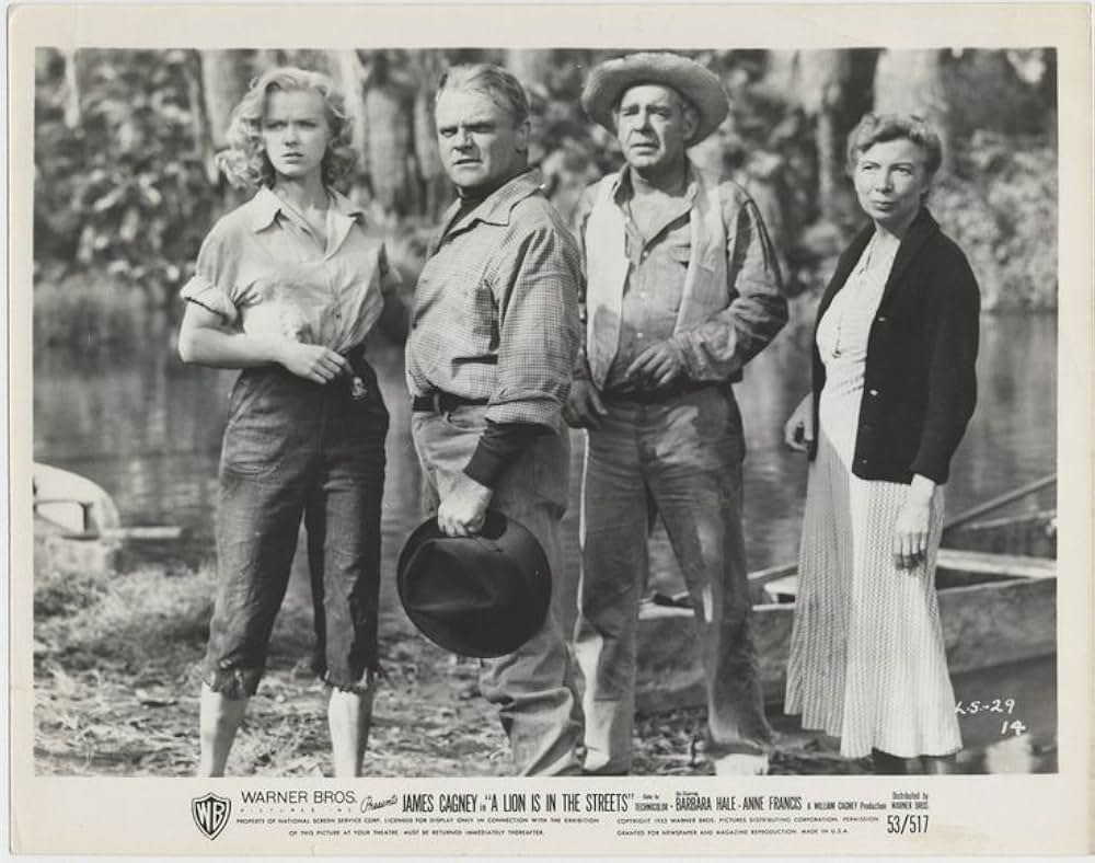 路上のライオンの画像