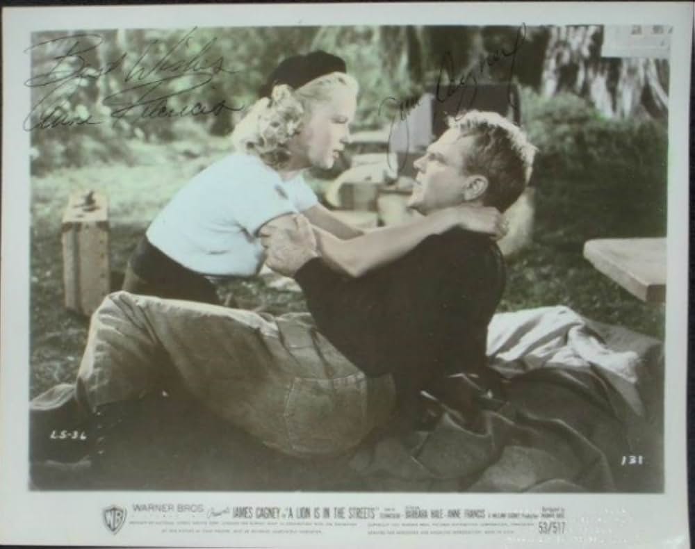 路上のライオンの画像