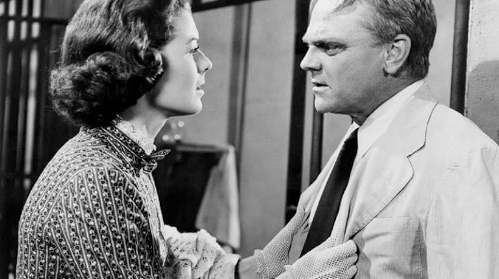 路上のライオンの画像