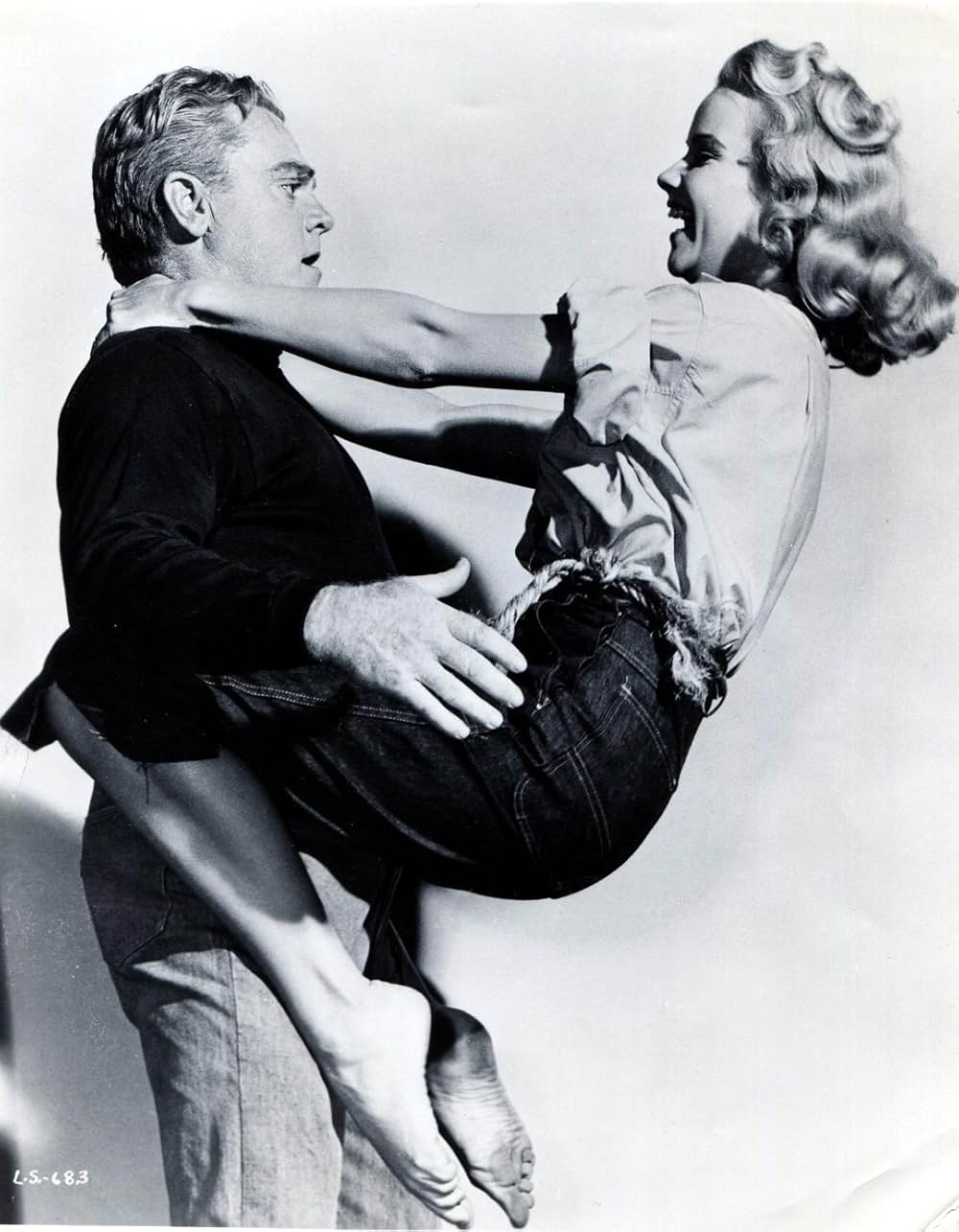 路上のライオンの画像